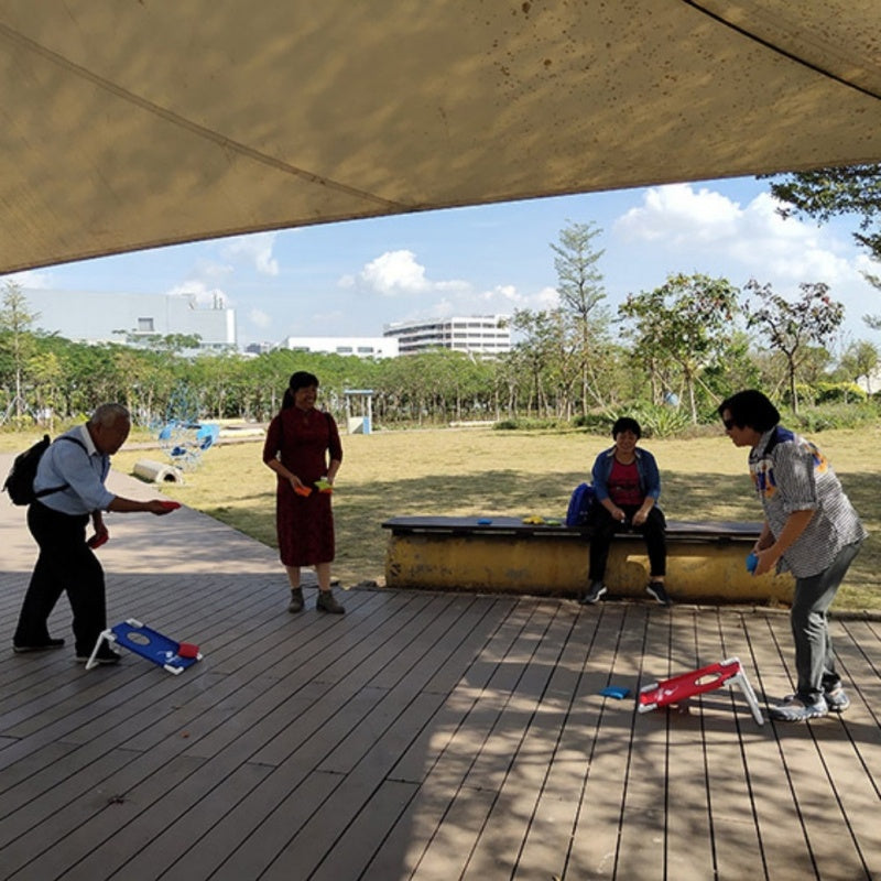Sandbag Throw Throwing Corn Hole Target Board Toy